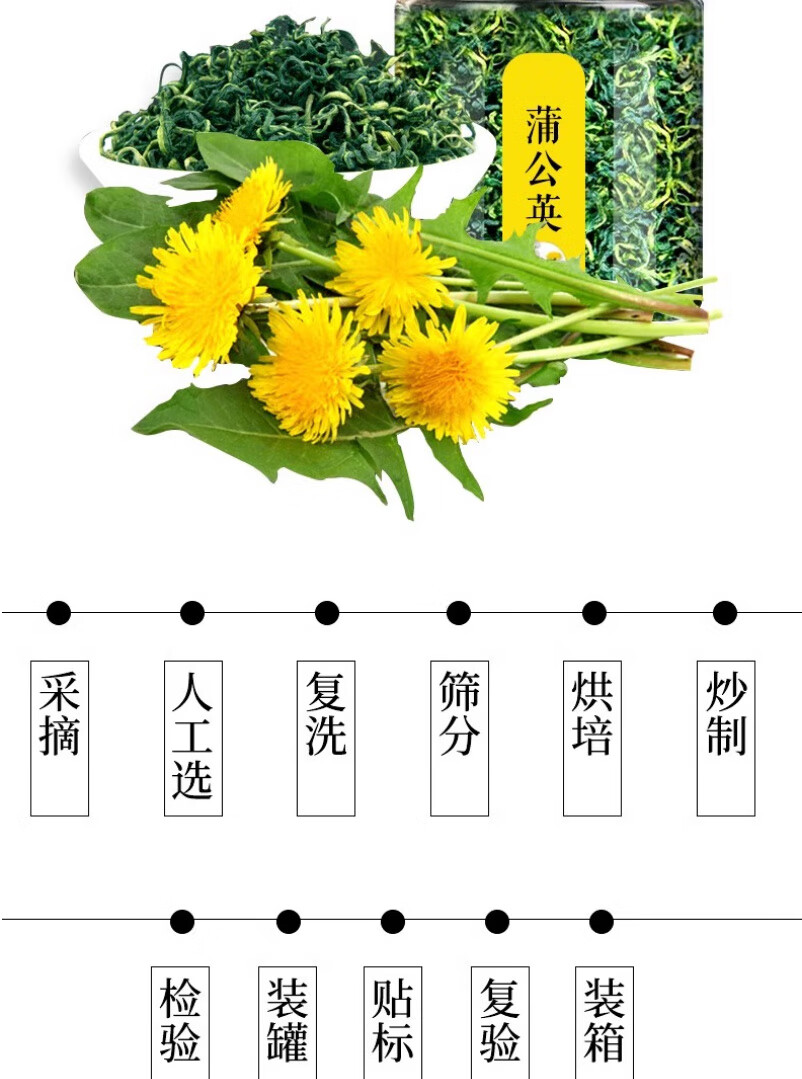 蒲公英茶的制作方法步骤(蒲公英茶的制作方法步骤是什么?晒干和炒制哪种更好?) 蒲公英茶的制作方法步骤(蒲公英茶的制作方法步骤是什么?晒干和炒制哪种更好?)