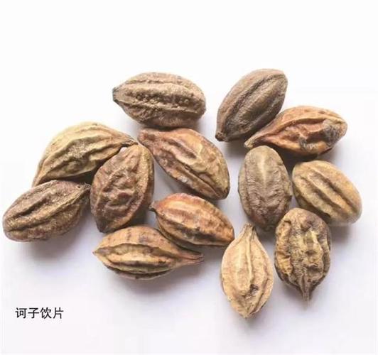 诃子的图片(诃子的图片别名) 诃子的图片(诃子的图片别名)