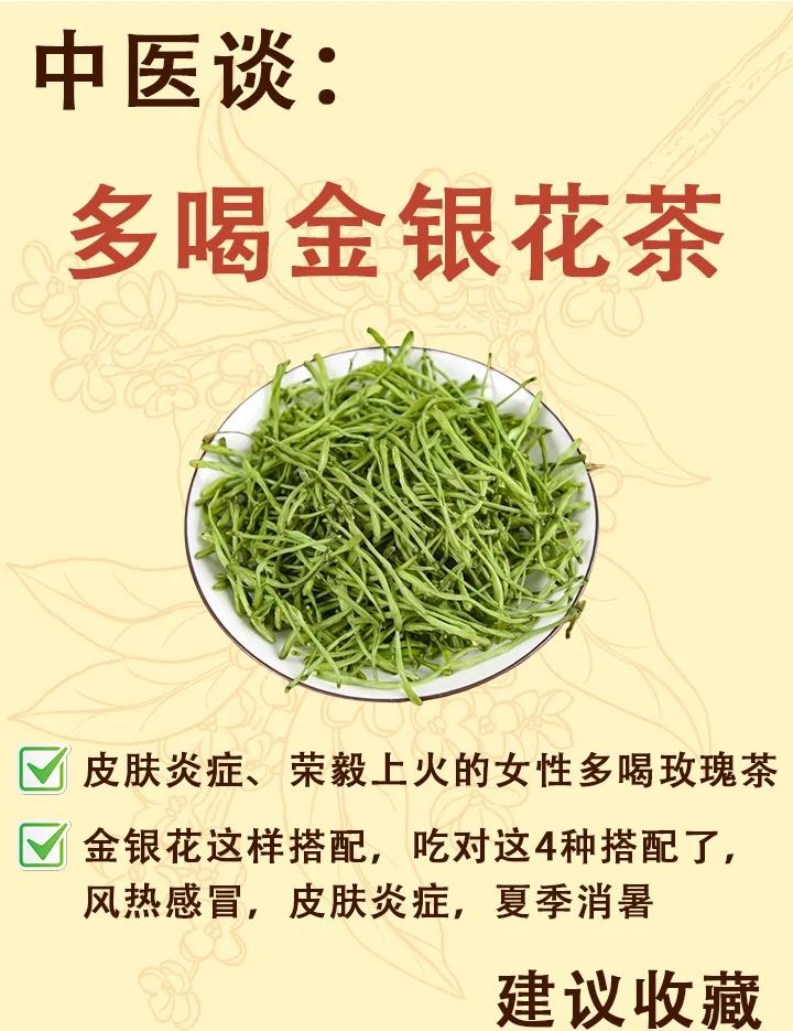金银花露的功效与作用(金银花露的功效与作用下火吗)