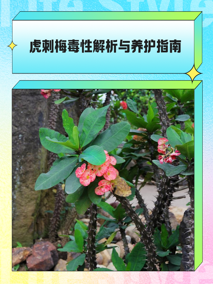虎毒不食子是什么意思(虎毒不食子下一句是什么) 虎毒不食子是什么意思(虎毒不食子下一句是什么)