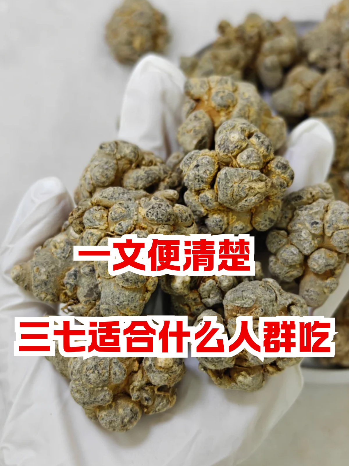 盘龙七片的功效与作用(盘龙七片的功效与作用及副作用)