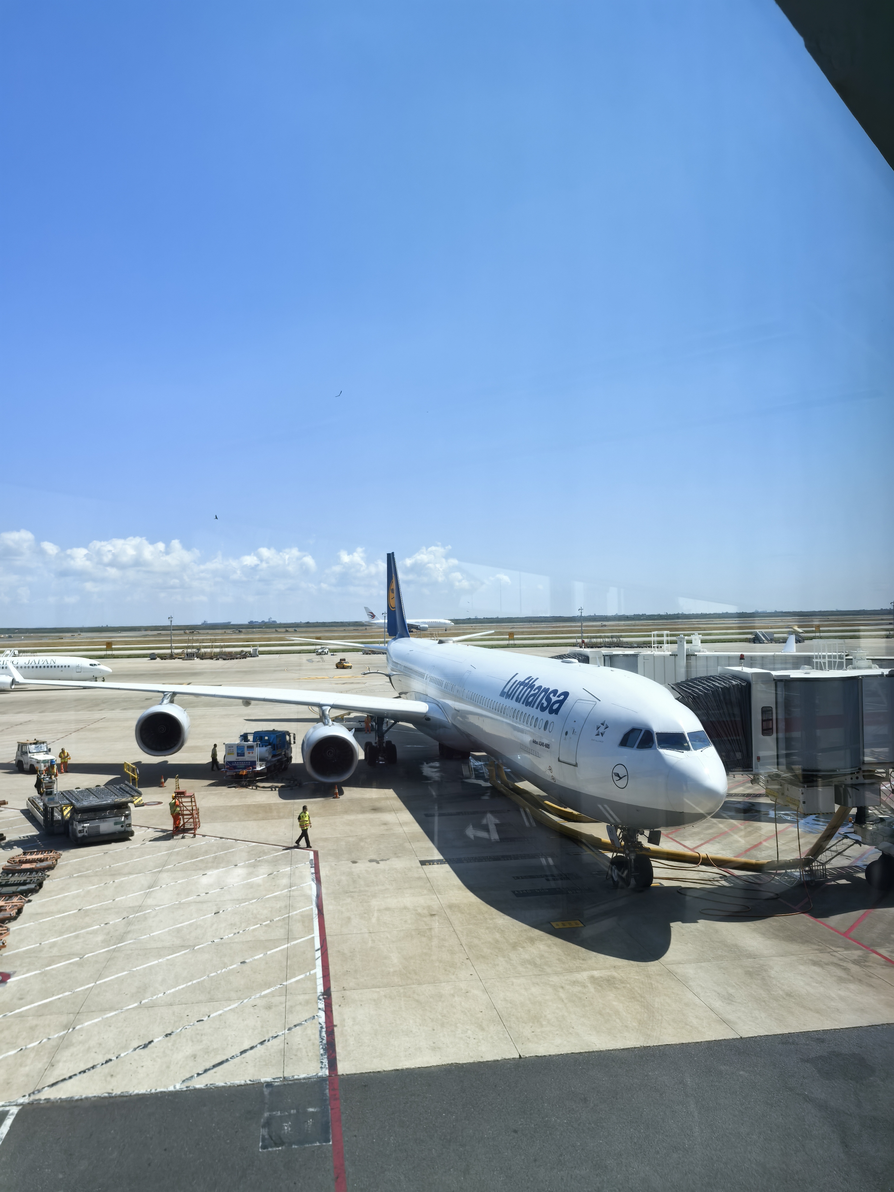 上海航空快运(上海航空快运航空运有限公司) 上海航空快运(上海航空快运航空运有限公司)
