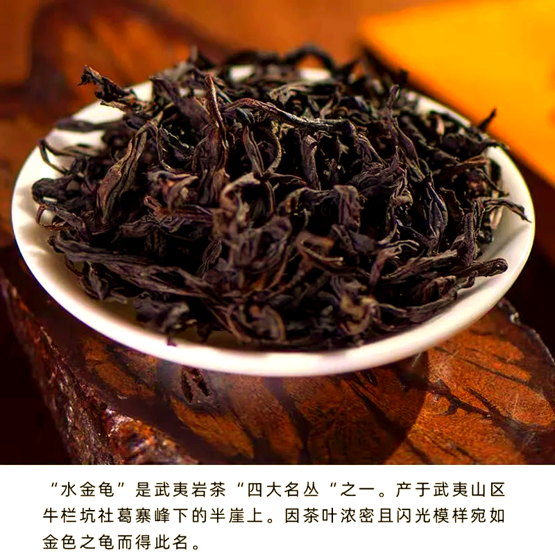 水金龟(水金龟茶价位)