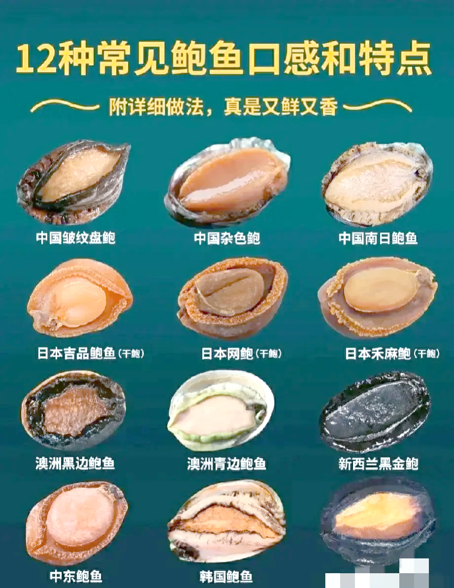 六头鲍鱼是什么概念(六头鲍鱼是什么概念啊) 六头鲍鱼是什么概念(六头鲍鱼是什么概念啊)