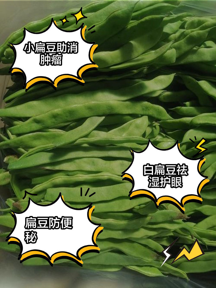 扁豆的功效与作用及禁忌(小白扁豆的功效与作用及禁忌)