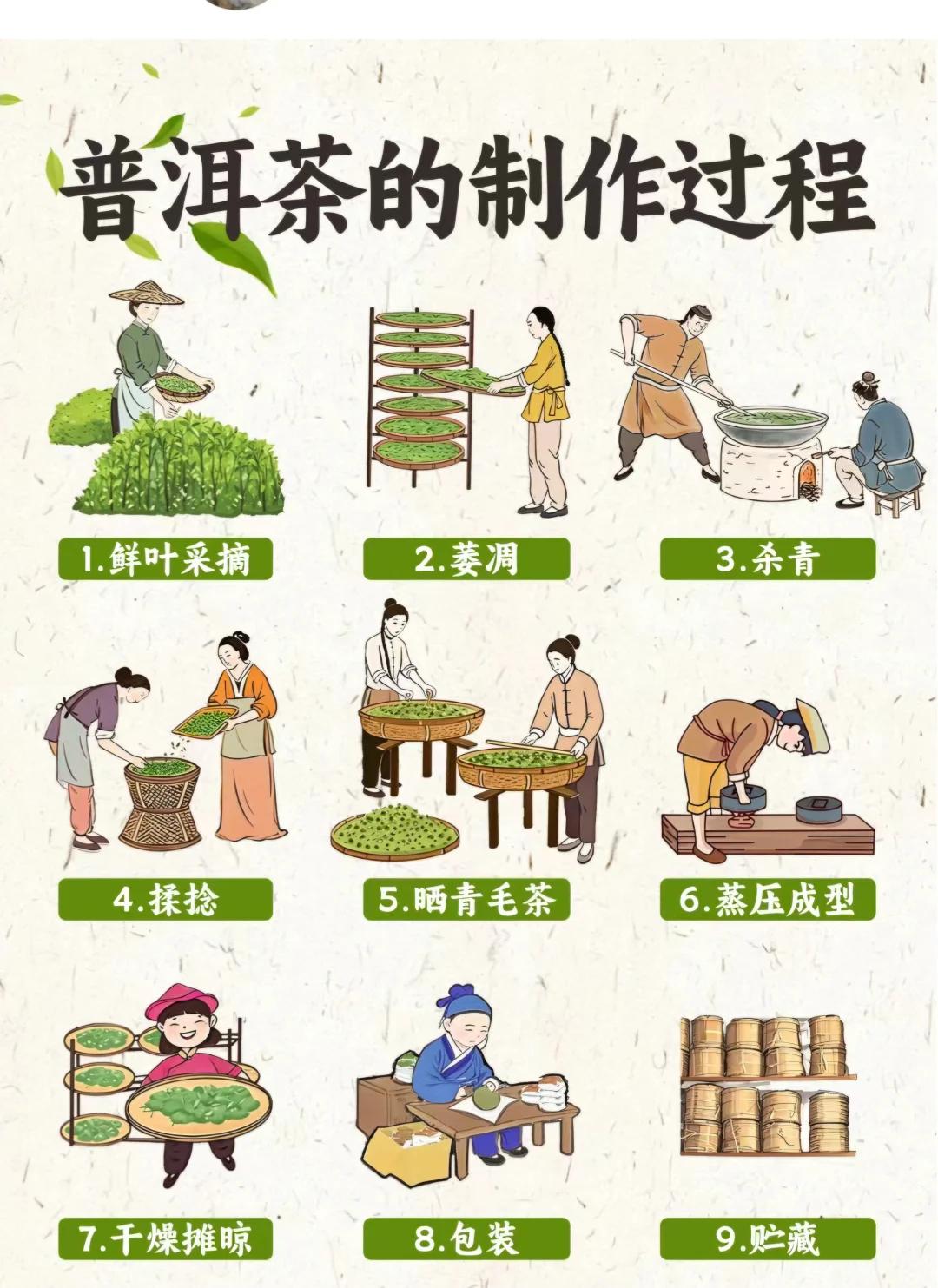 普洱茶保存方法(普洱茶保存方法家庭储藏) 普洱茶保存方法(普洱茶保存方法家庭储藏)