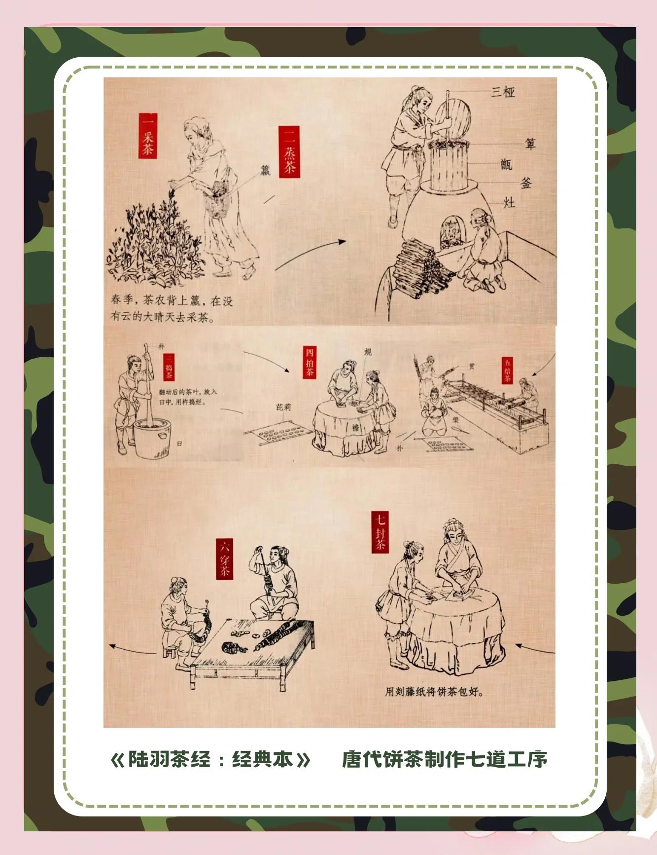 为什么茶艺师都做不久(为什么茶艺师证书国家取消了)