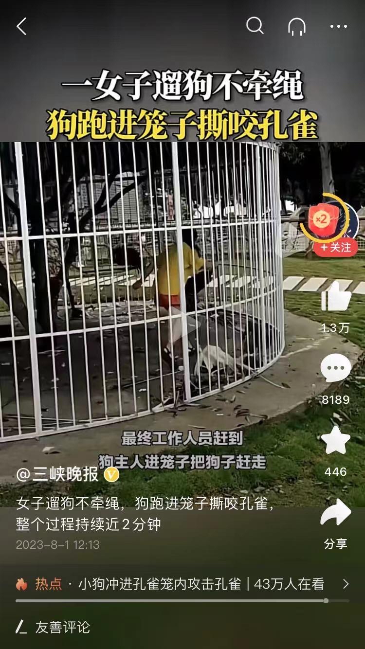 狗狗进公园被拦收2元停车费(狗狗进公园被拦收2元停车费天气预报) 狗狗进公园被拦收2元停车费(狗狗进公园被拦收2元停车费天气预报)
