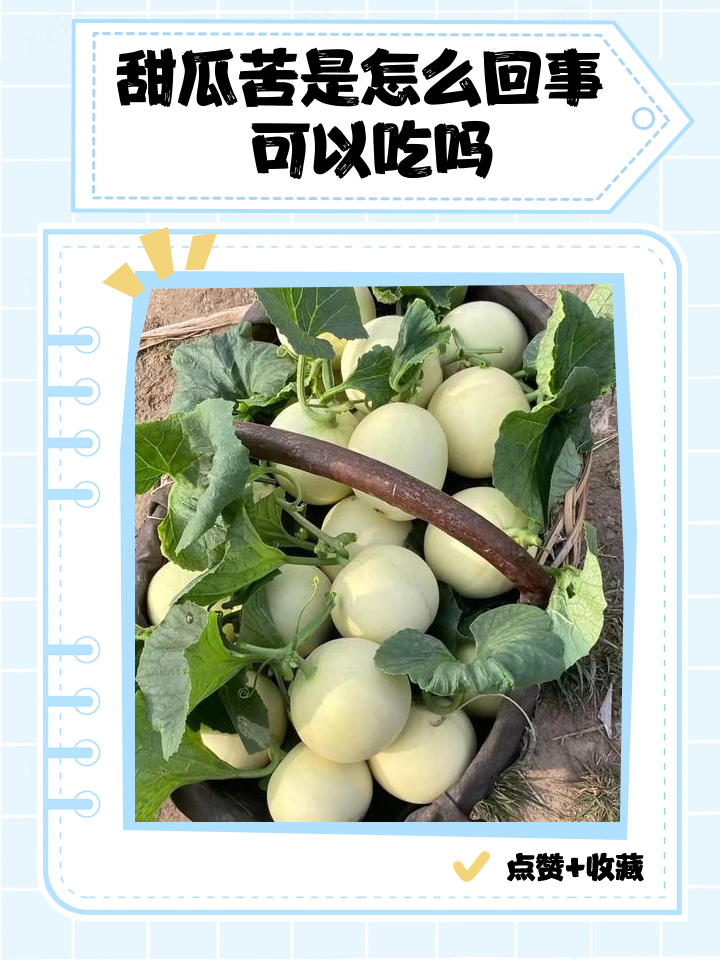 吃甜瓜舌头发麻是怎么回事(吃甜瓜后舌头麻木是怎么回事) 吃甜瓜舌头发麻是怎么回事(吃甜瓜后舌头麻木是怎么回事)