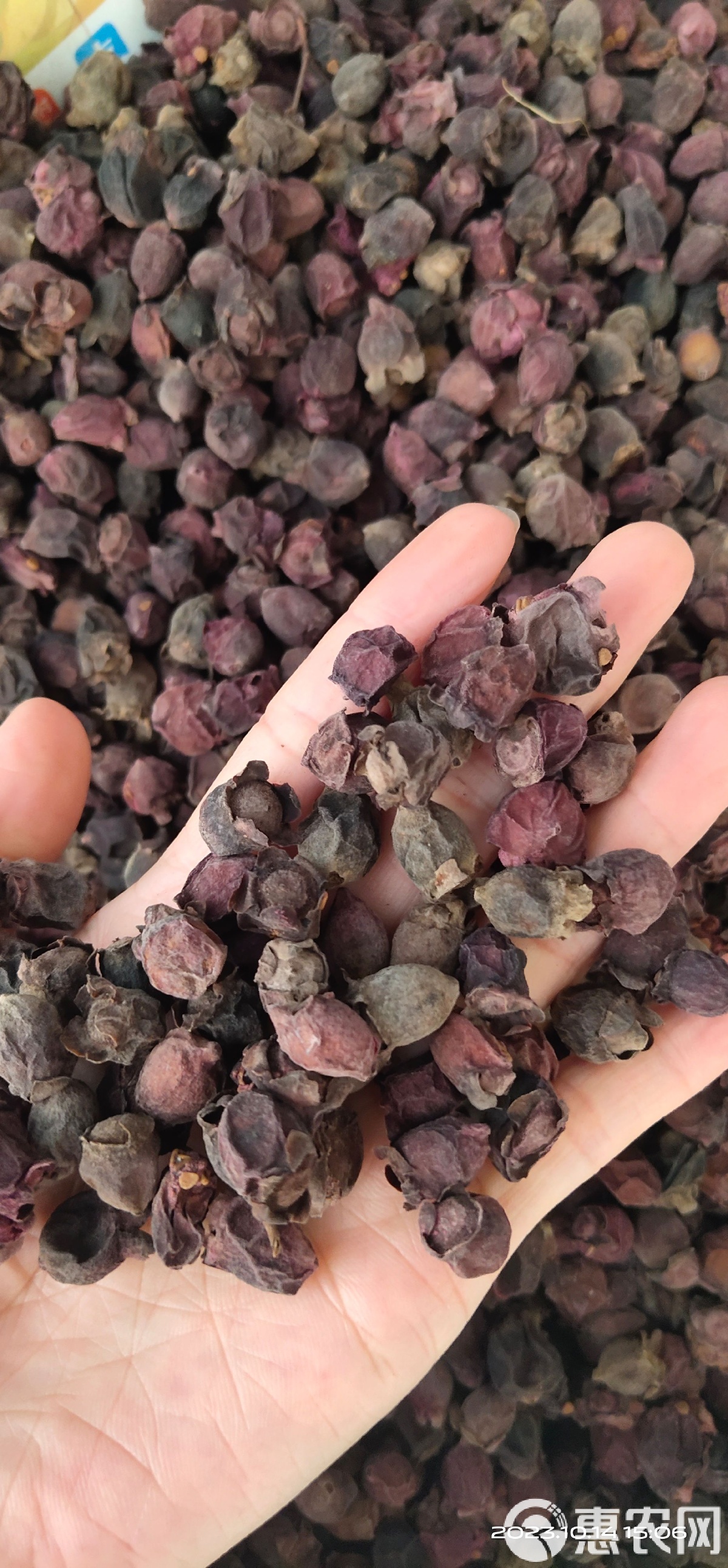 捻子酒的功效与作用有哪些(捻子酒的功效与作用有哪些禁忌)