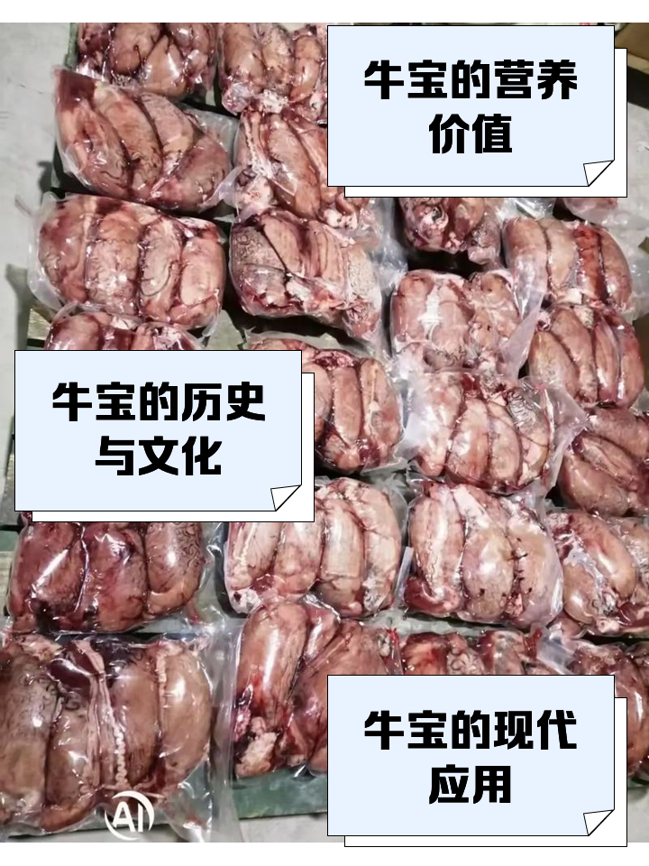 牛八宝是哪八宝(牛八宝是哪八宝啊)