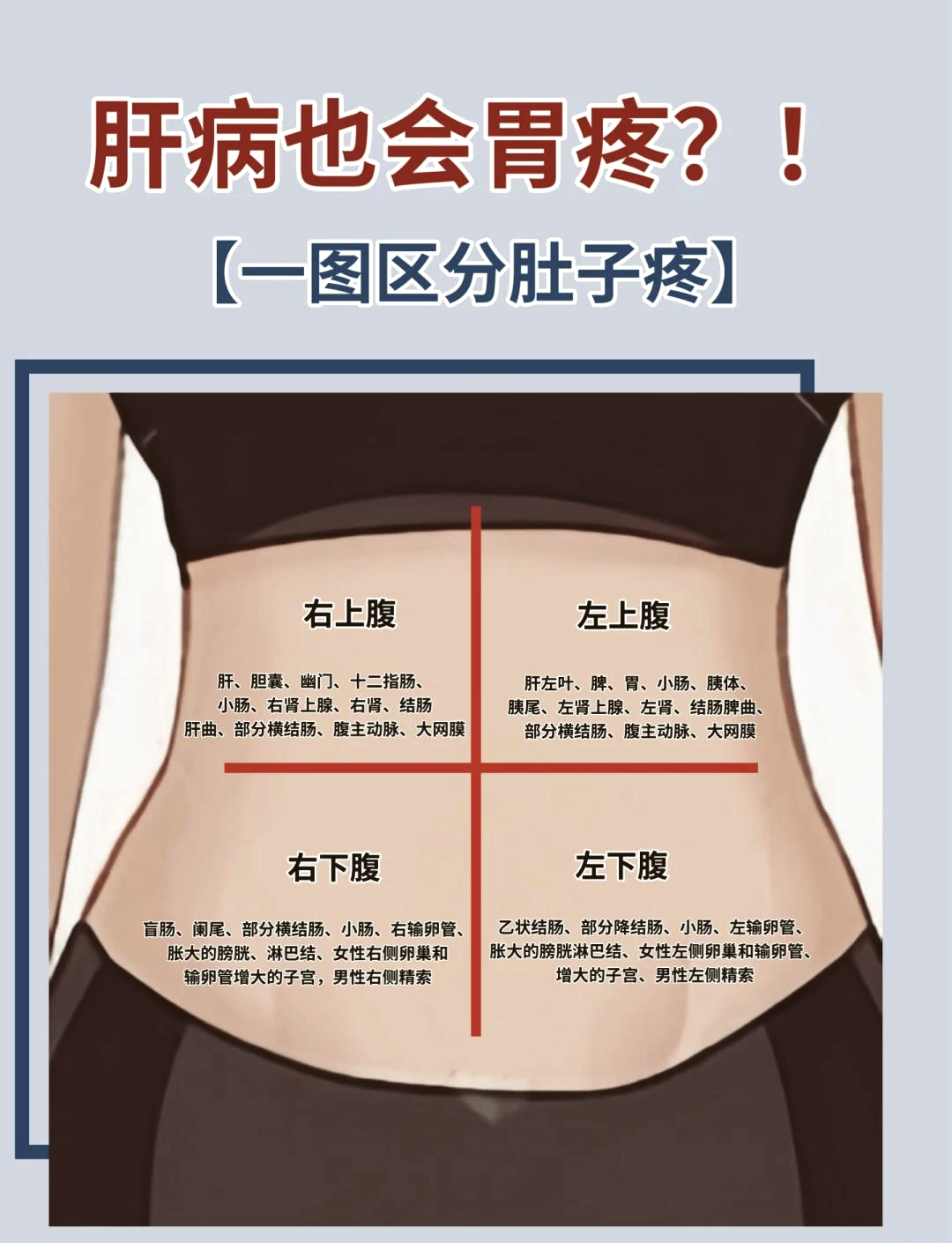 肝胆疼痛一般在哪个部位图片(肝胆疼痛一般在哪个部位图片大全) 肝胆疼痛一般在哪个部位图片(肝胆疼痛一般在哪个部位图片大全)
