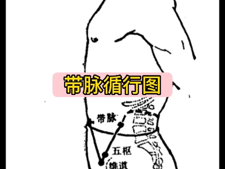 带脉的准确位置图(腰两侧带脉的准确位置图) 带脉的准确位置图(腰两侧带脉的准确位置图)
