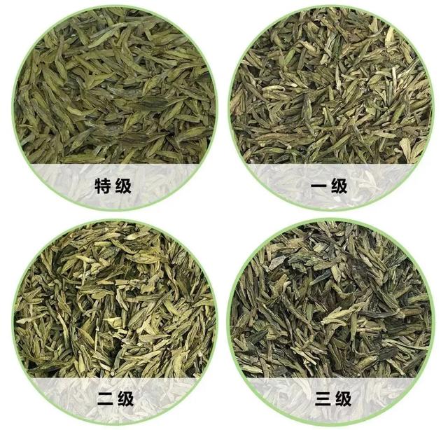 龙井43属于什么等级(龙井43茶叶的品种特点) 龙井43属于什么等级(龙井43茶叶的品种特点)
