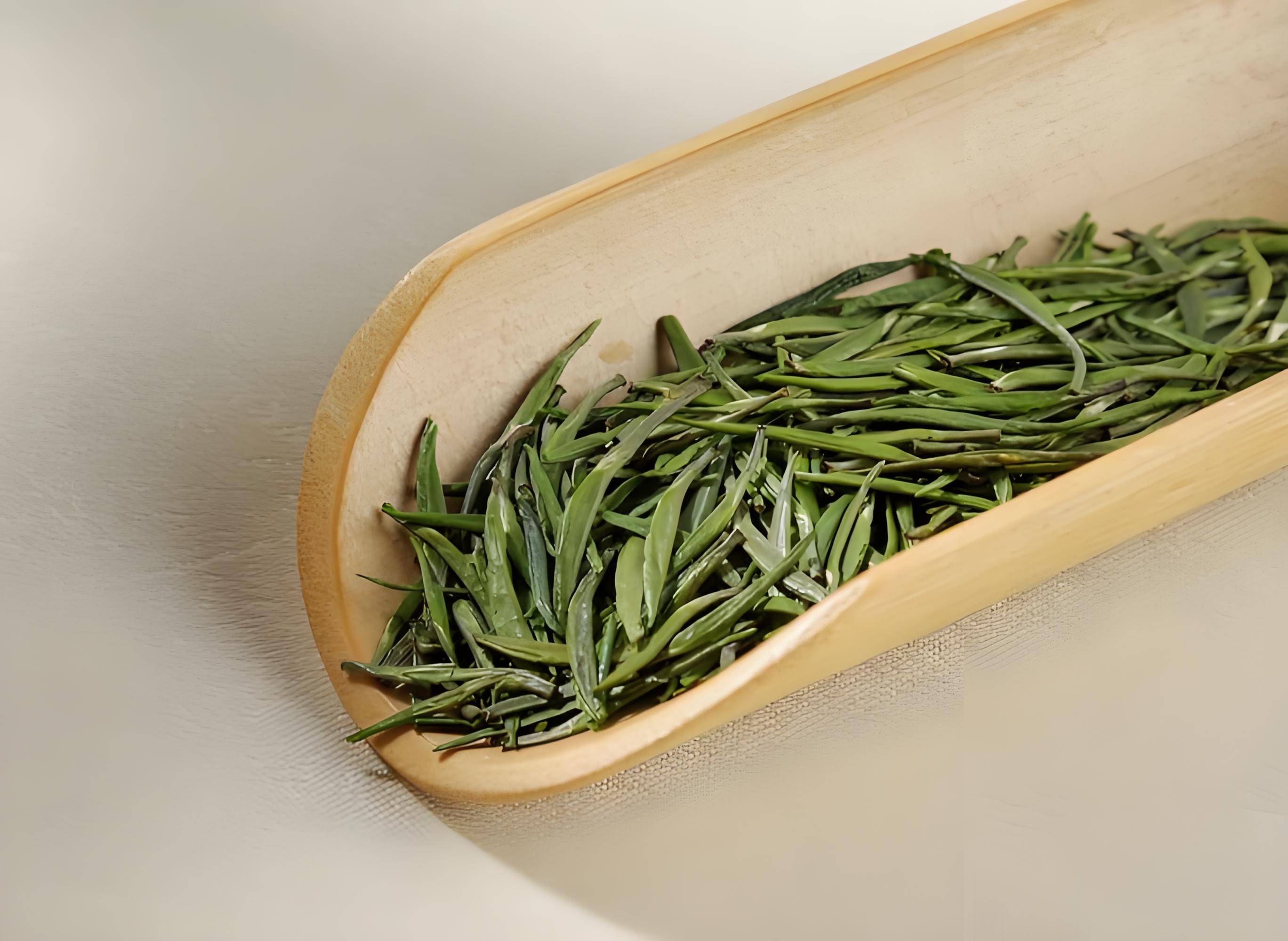 绿茶有哪些(绿茶有哪些品牌)