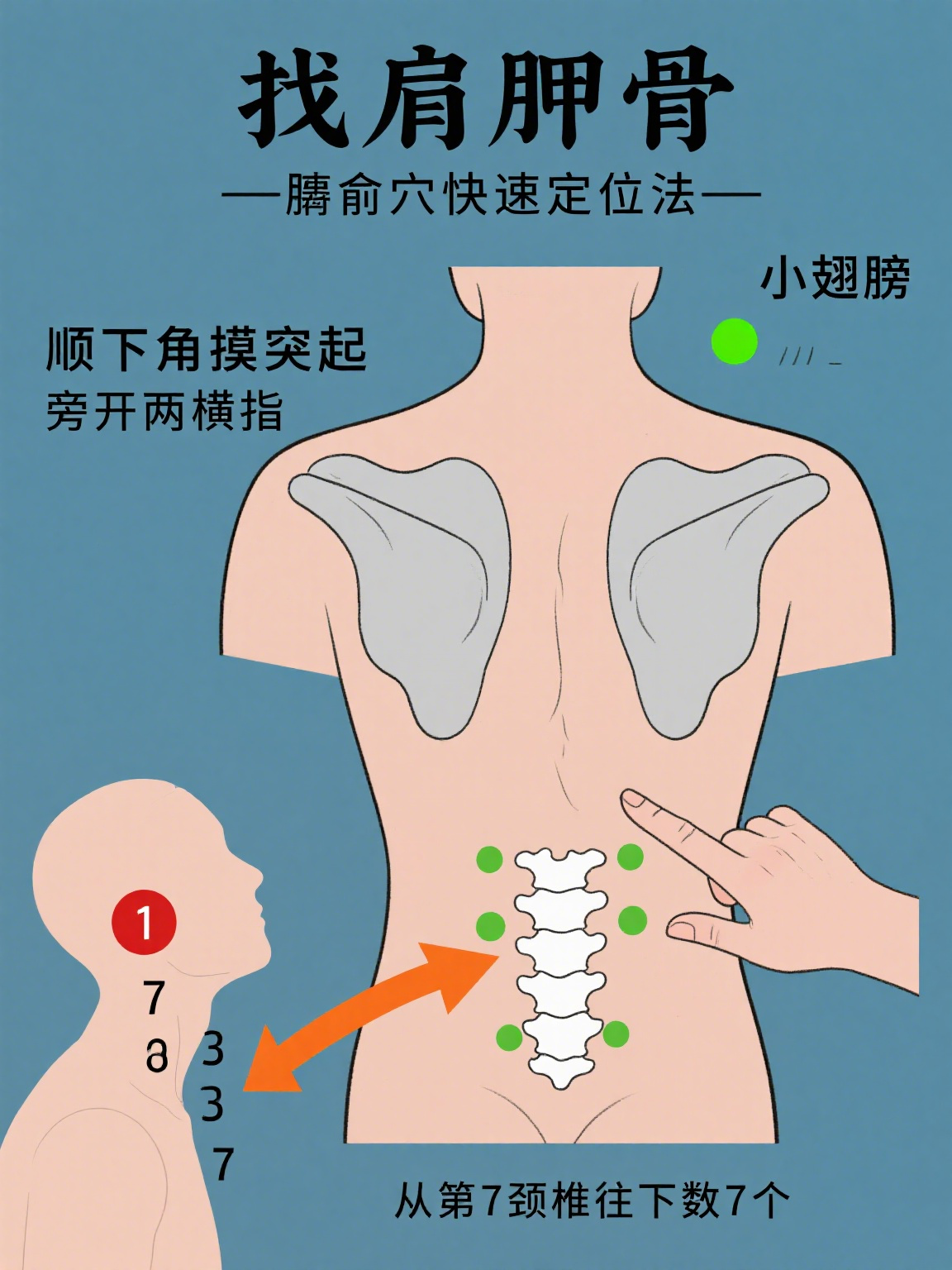 膈俞准确位置图作用功效(膈俞准确位置图作用功效中脘)