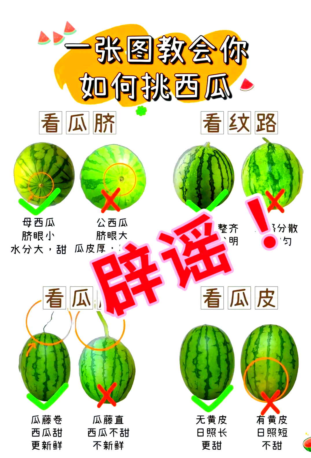 8424和麒麟瓜有什么区别(8424和麒麟瓜是一个品种吗) 8424和麒麟瓜有什么区别(8424和麒麟瓜是一个品种吗)