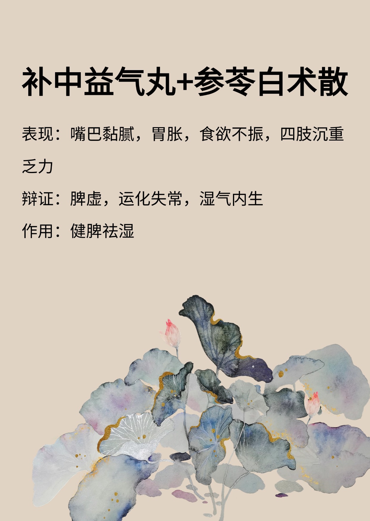 内补丸(内补丸趣味记忆)