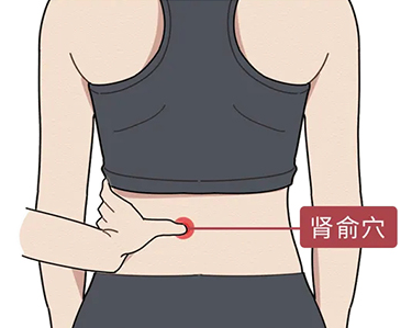 肾俞的准确位置图(肾俞的准确位置图片和作用视频)