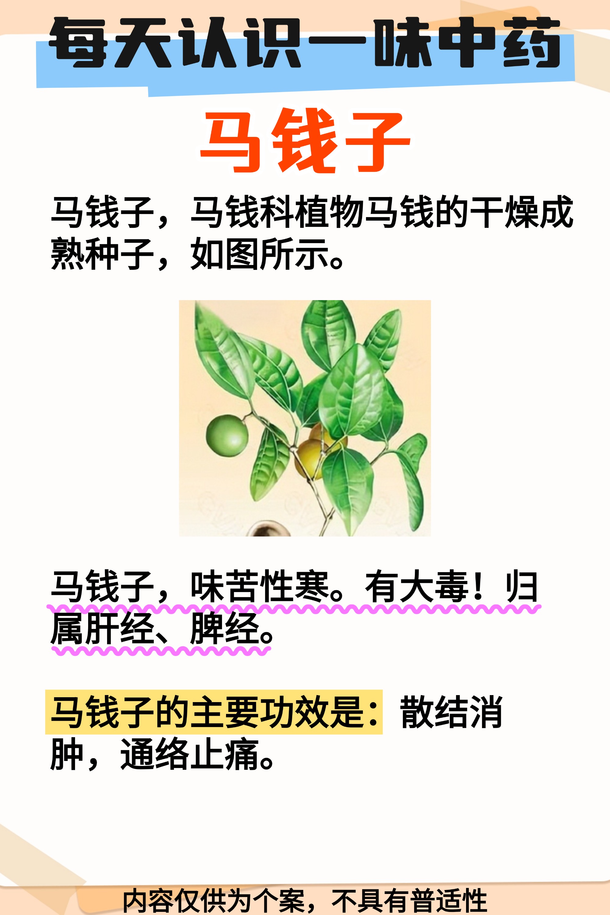 地钱的功效与作用(地钱草中草药的功效与作用) 地钱的功效与作用(地钱草中草药的功效与作用)