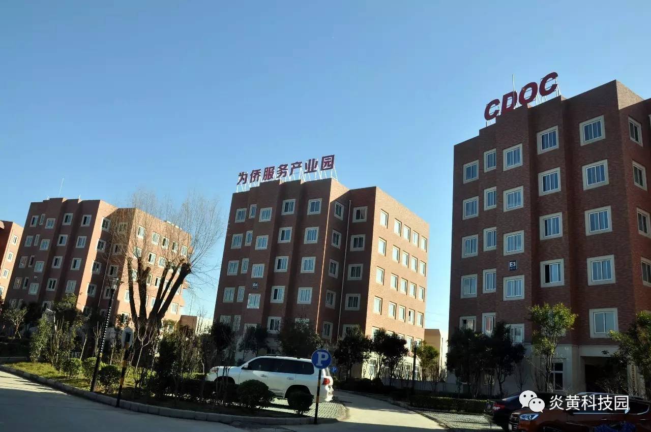 洛阳人才网官网(洛阳人才网官网手机版)