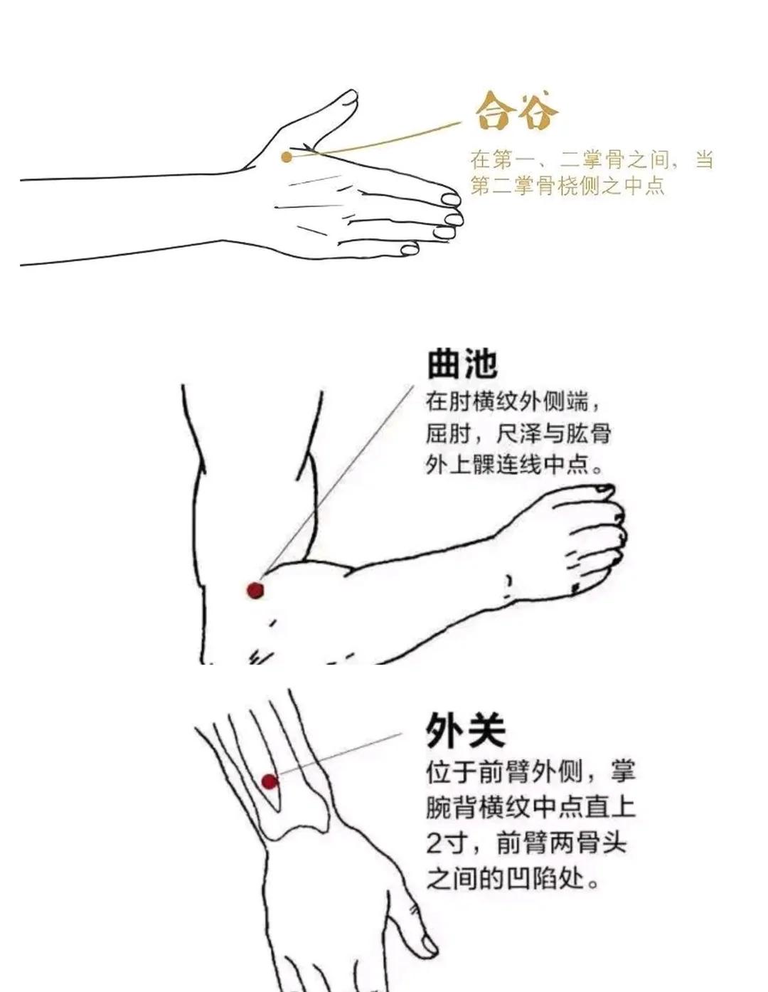 手三里的准确位置图(手三里的准确位置图怎么找)