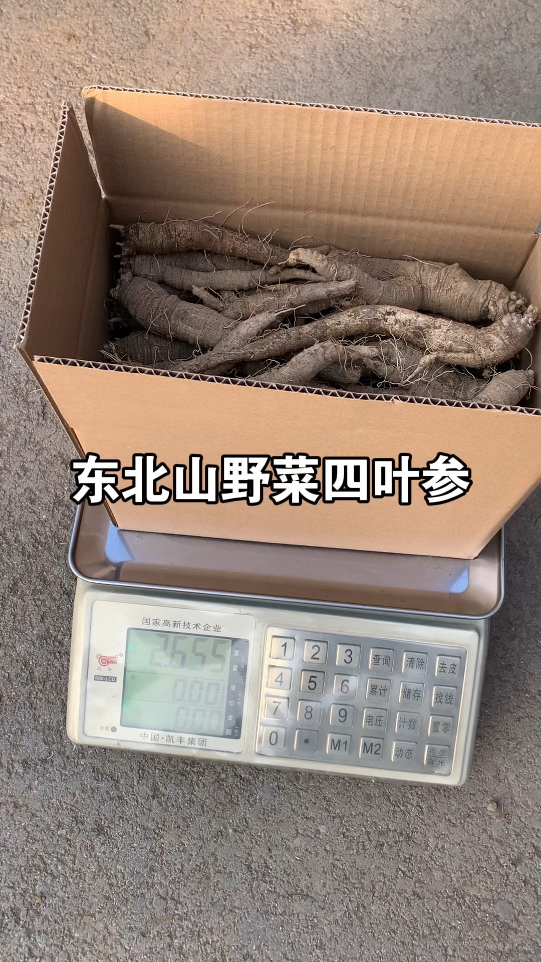 四叶参图片大全(四叶参图片和介绍) 四叶参图片大全(四叶参图片和介绍)