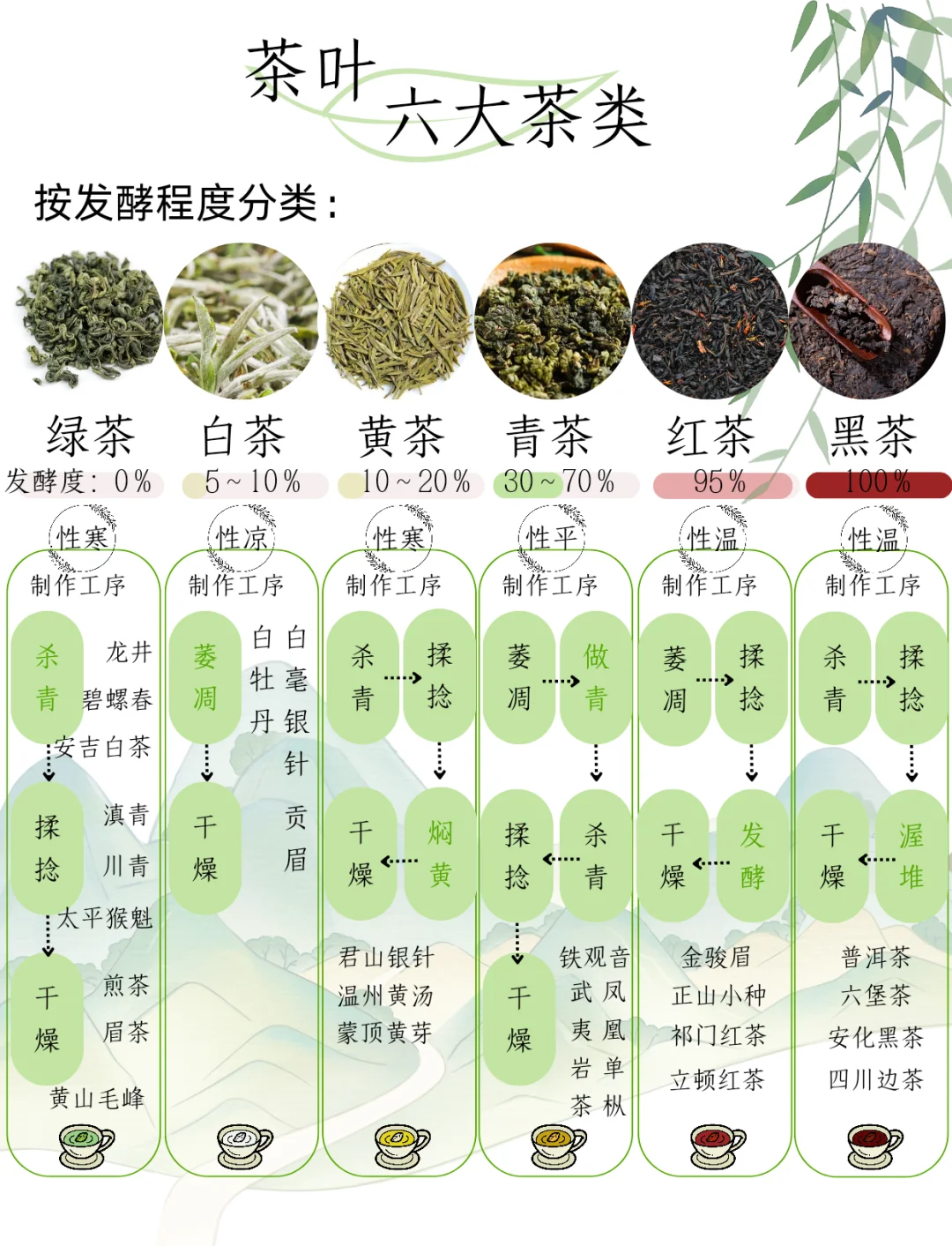 茶叶种类(茶叶种类大全)