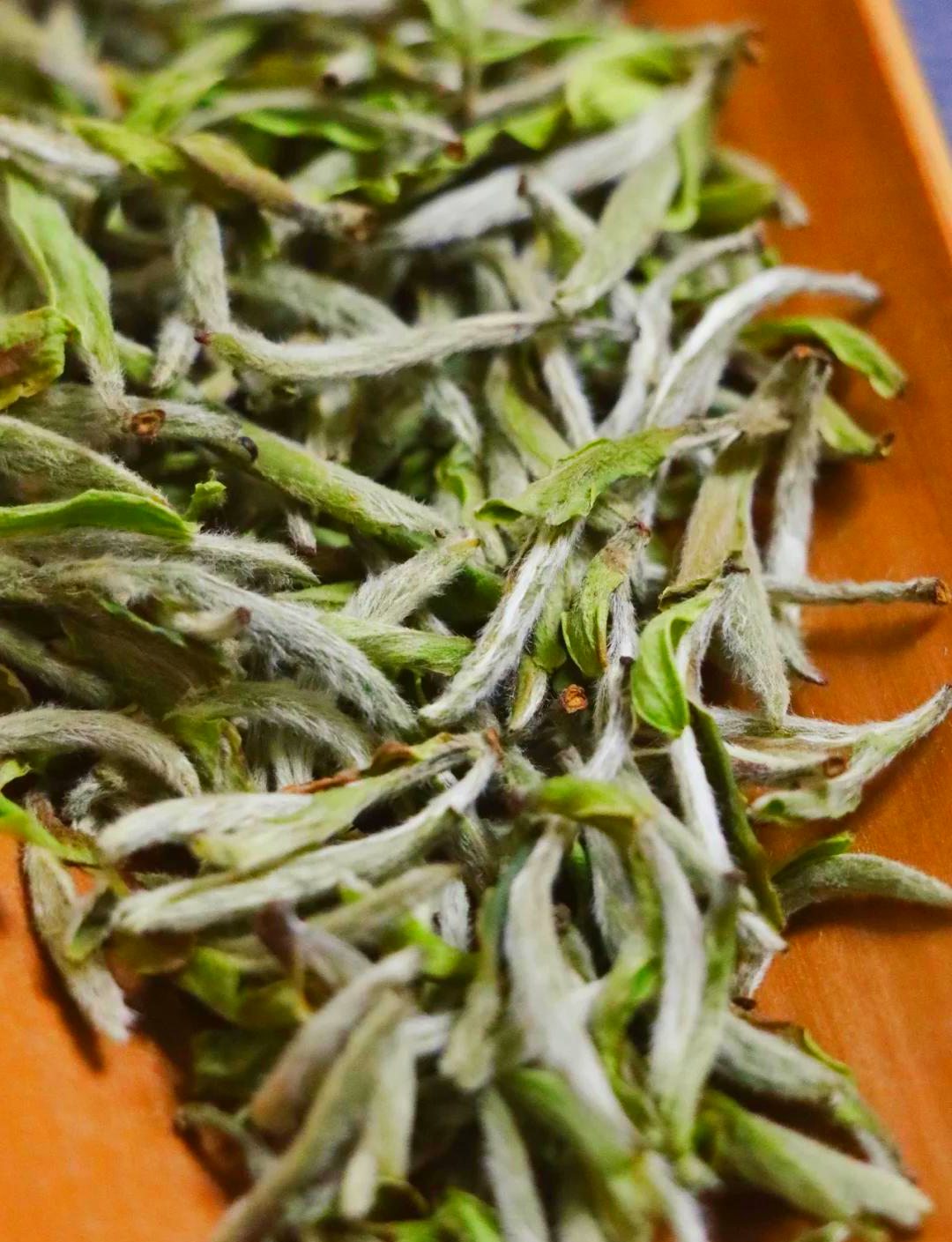 白茶优劣区分(白茶品相好坏口感有差距吗)