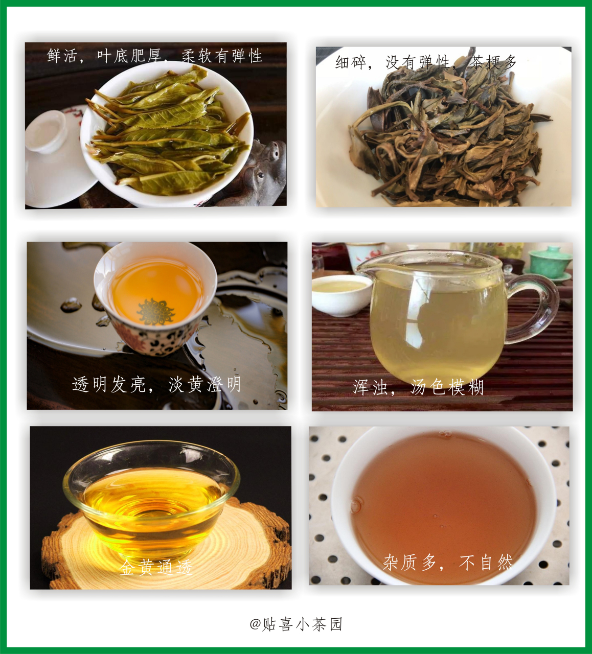 普洱茶怎么分辨好坏(普洱茶怎么区分好坏的视频) 普洱茶怎么分辨好坏(普洱茶怎么区分好坏的视频)
