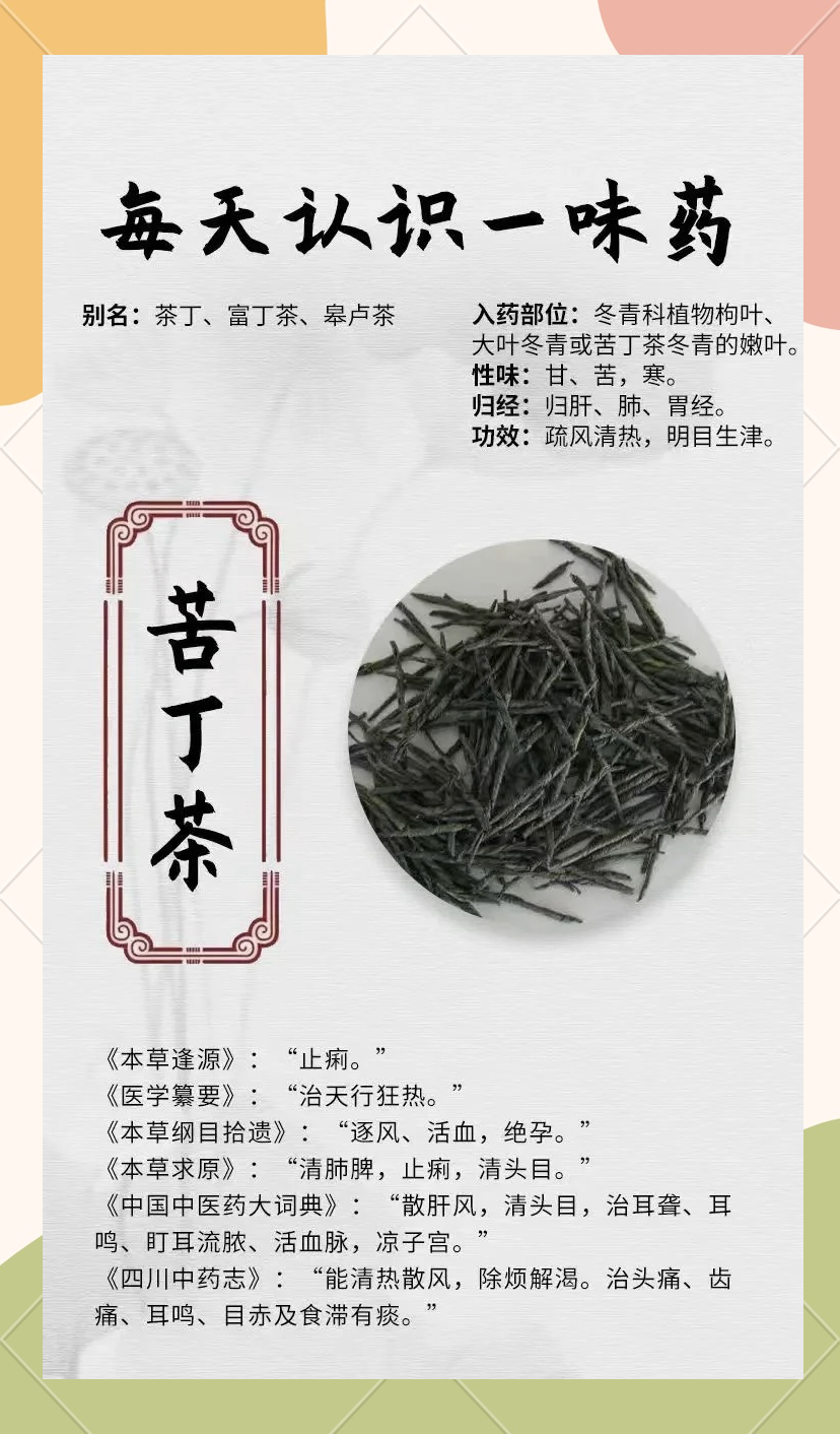 小叶苦丁茶的功效与作用及禁忌(小叶苦丁茶有什么功效作用及禁忌) 小叶苦丁茶的功效与作用及禁忌(小叶苦丁茶有什么功效作用及禁忌)