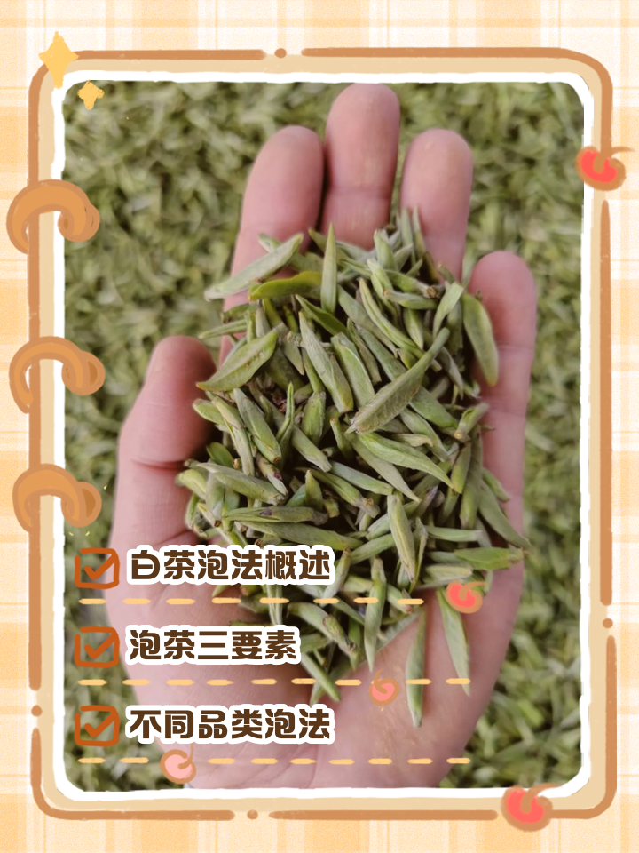 白茶泡法的正确方法(白茶泡法的正确方法图片)