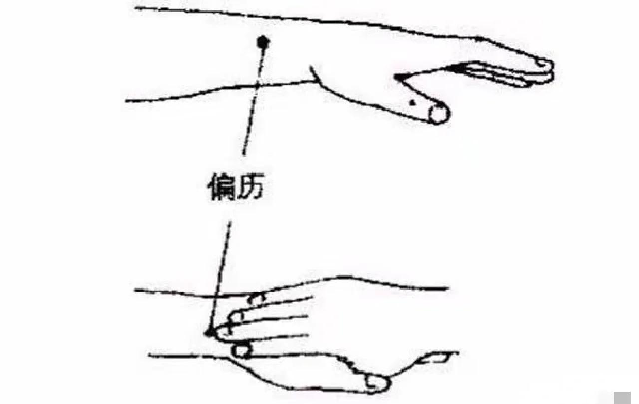 偏历的准确位置图(偏历的准确位置图片及作用)