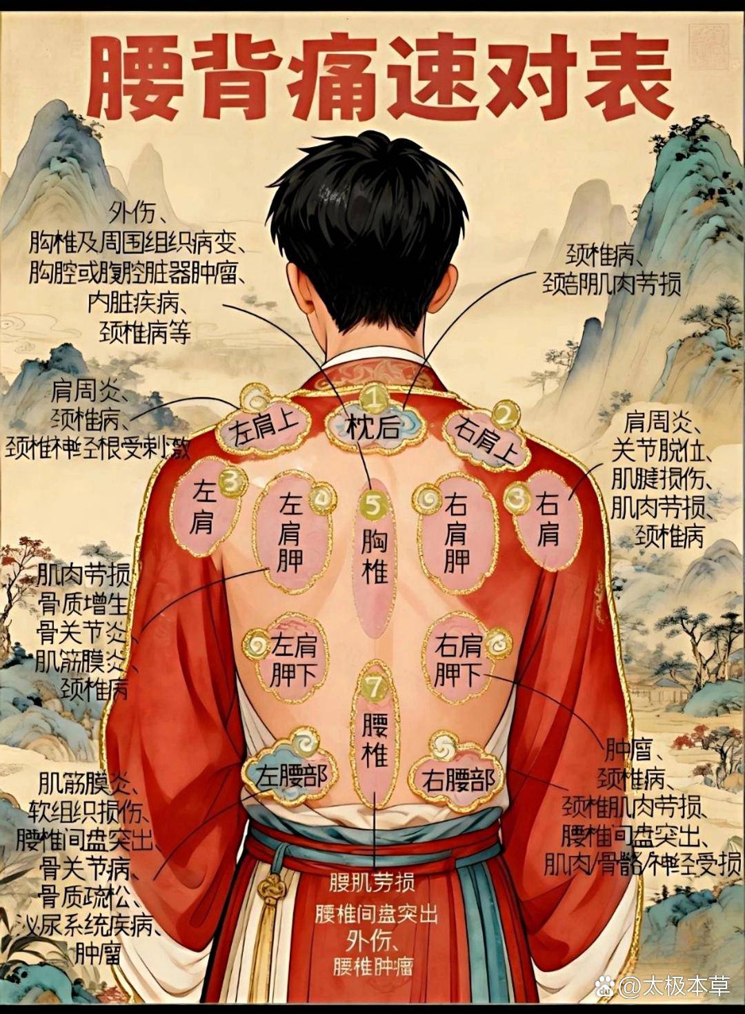 偏历的准确位置图(偏历的准确位置图片及作用) 偏历的准确位置图(偏历的准确位置图片及作用)