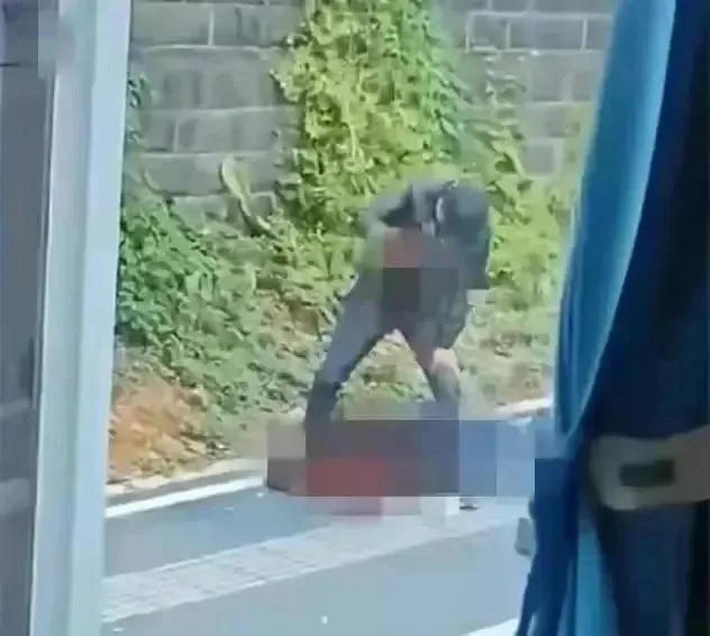 脑浆图片(脑浆图片超清)