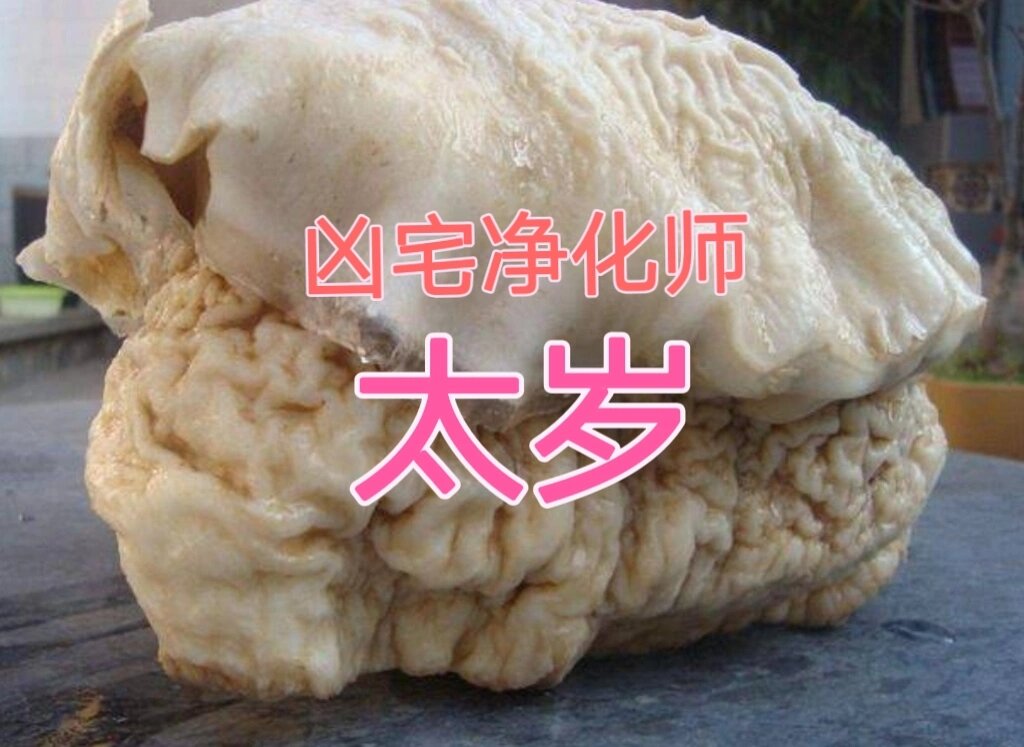 太岁是什么神仙(太岁是哪个教的神)