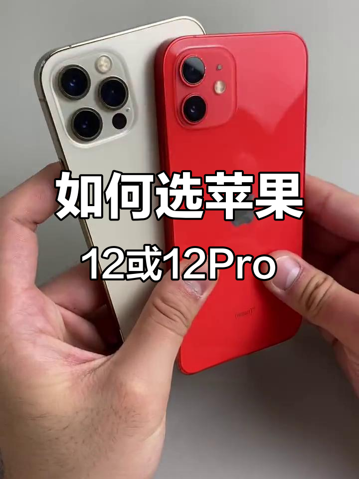 苹果13pro和12pro建议买哪个(苹果13 pro和苹果12 pro哪个好) 苹果13pro和12pro建议买哪个(苹果13 pro和苹果12 pro哪个好)