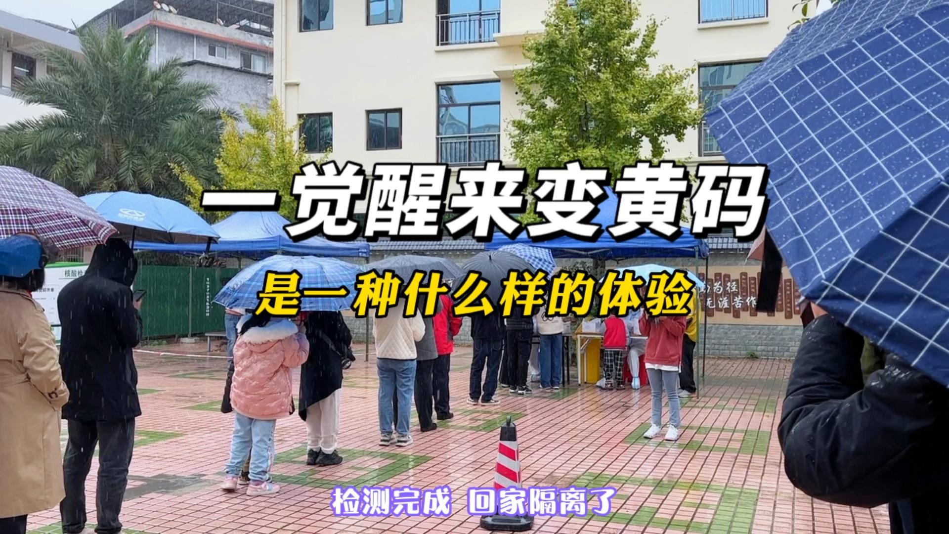 出现黄码怎么办(出现黄码怎么办变成红码)