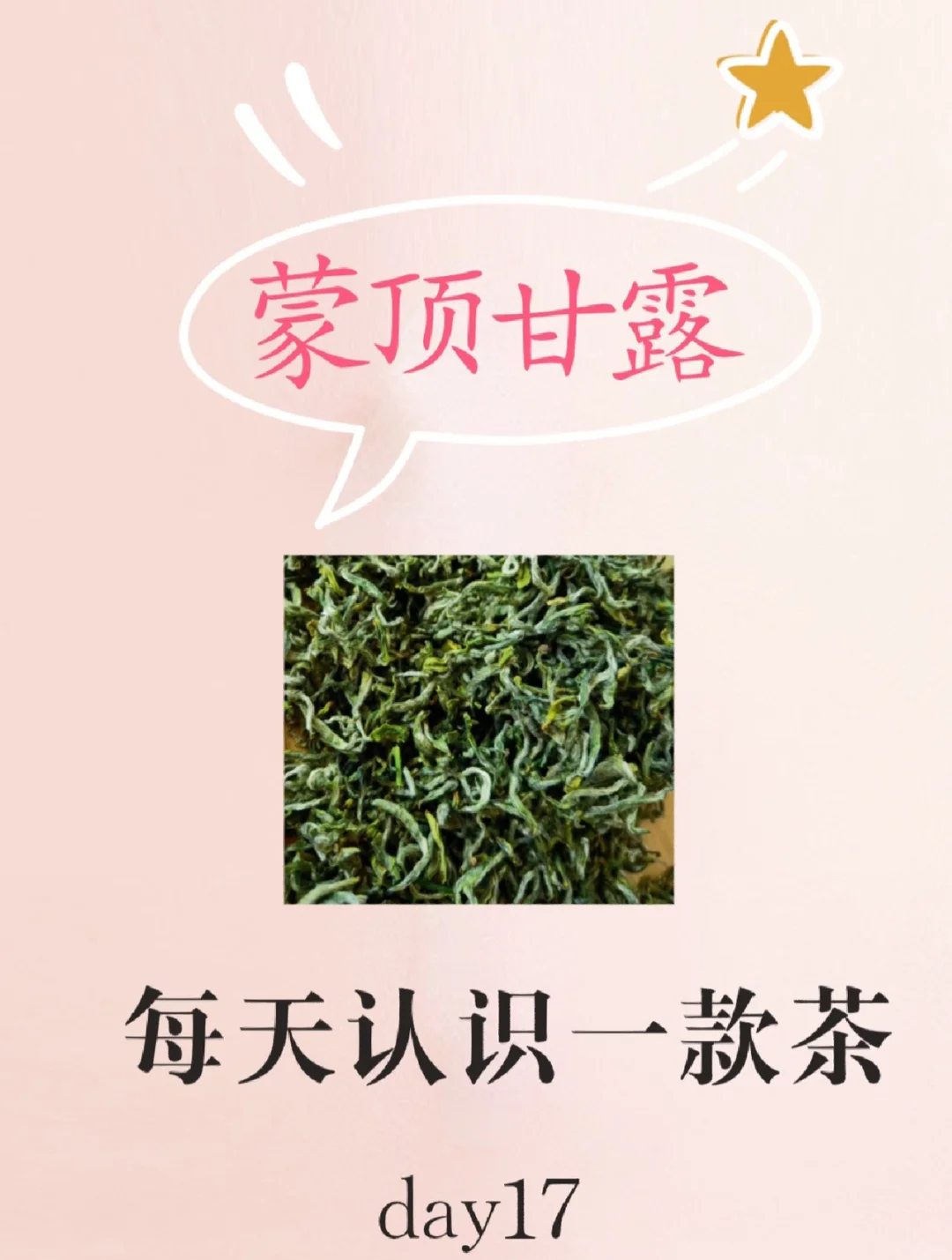 蒙顶甘露属于什么茶(蒙顶甘露茶多少钱一斤)