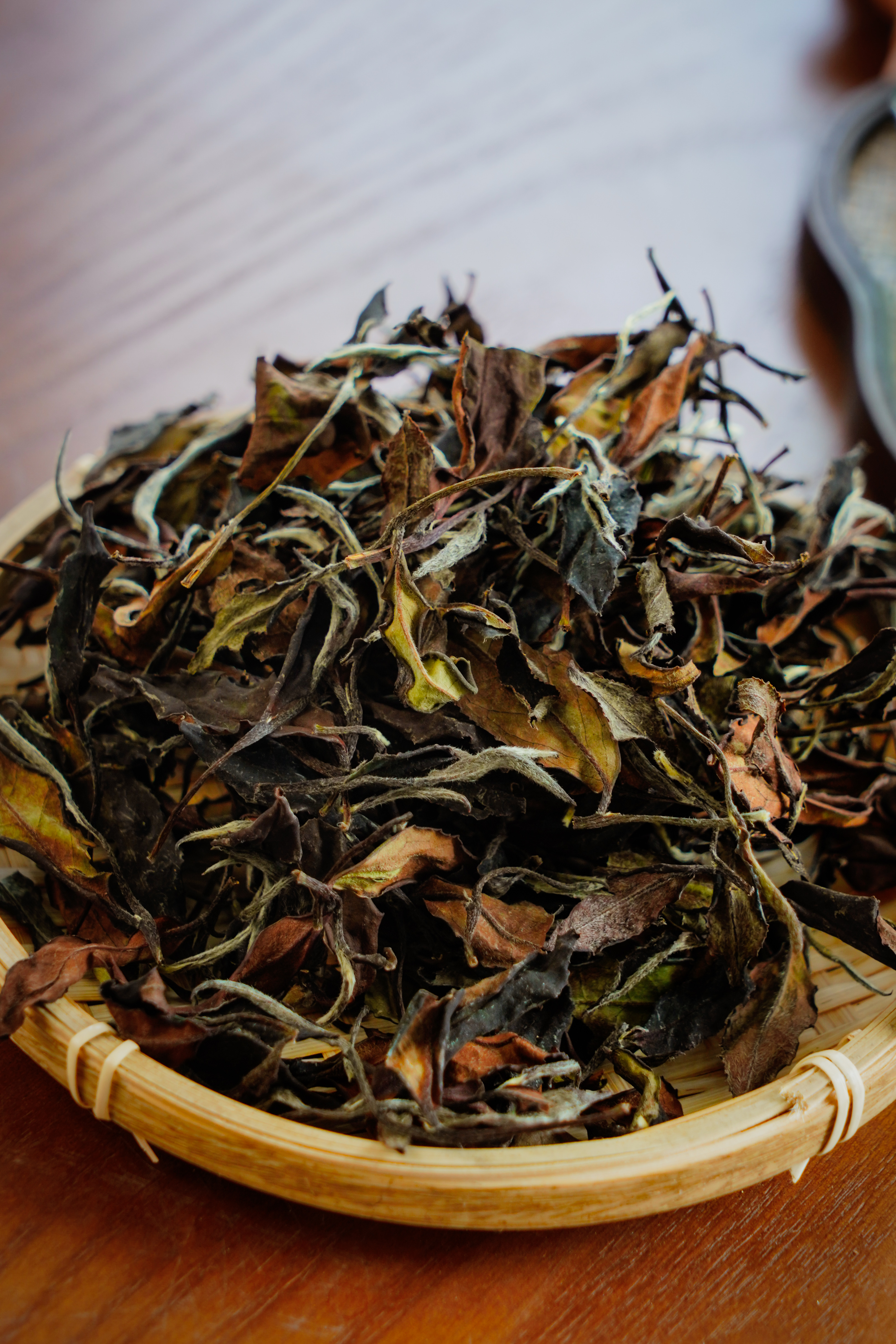 刮风寨古树茶的特点(刮风寨古树茶的特点属于冰岛吗)