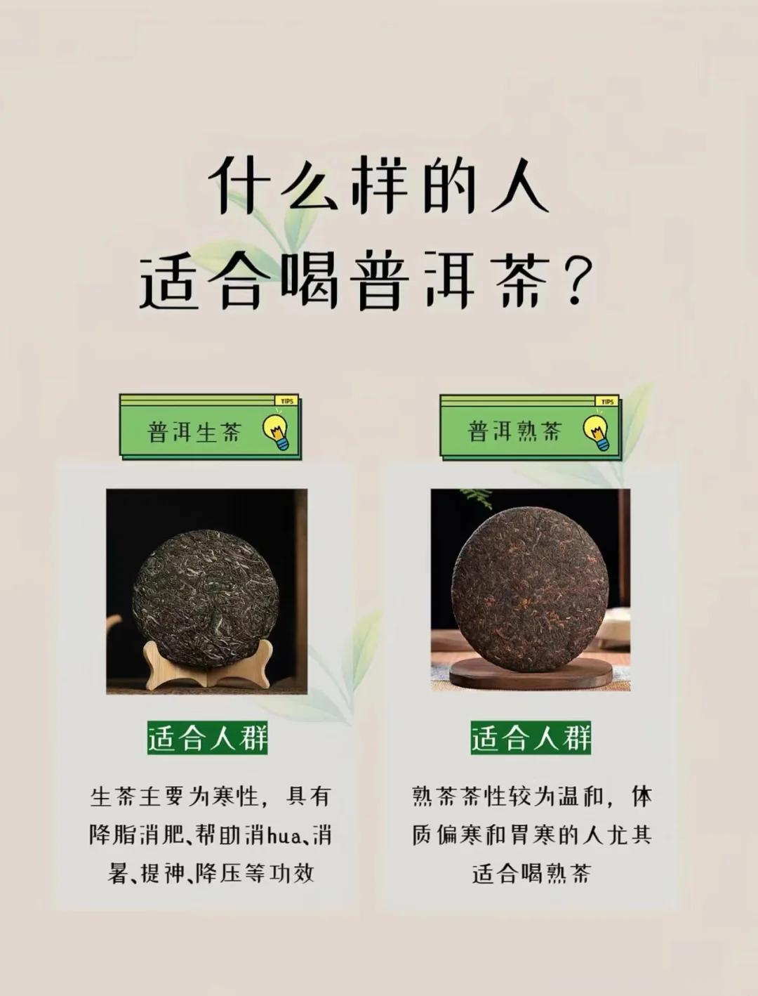 生茶怎么喝(生茶怎么喝是煮是泡) 生茶怎么喝(生茶怎么喝是煮是泡)