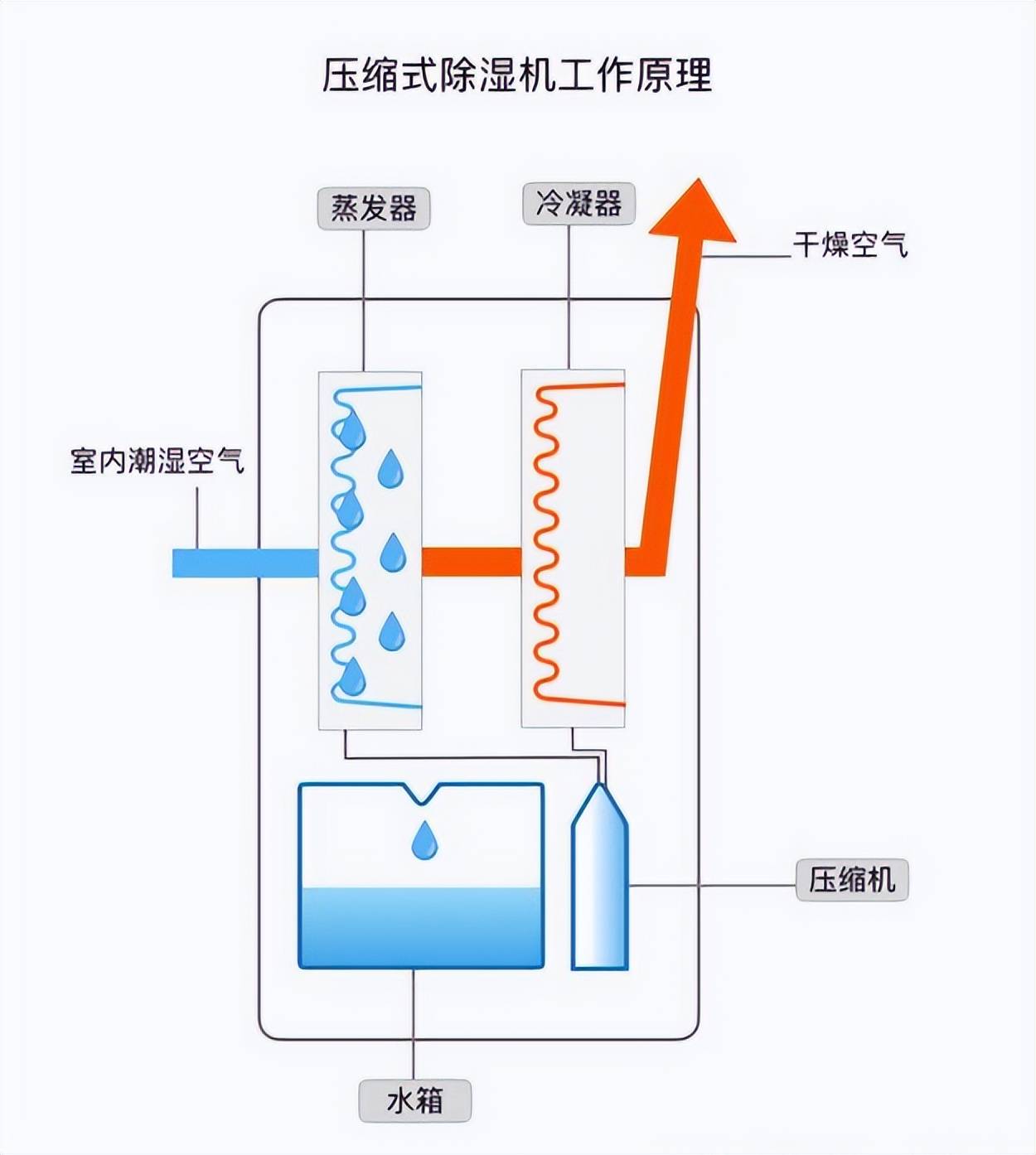 除湿袋是什么原理(除湿袋是什么原理制成的)