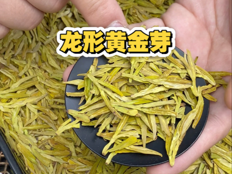 包含黄金芽在茶叶中什么档次的词条 包含黄金芽在茶叶中什么档次的词条