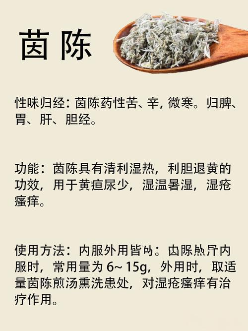 茵陈五苓散组成(茵陈五苓散组成克数)