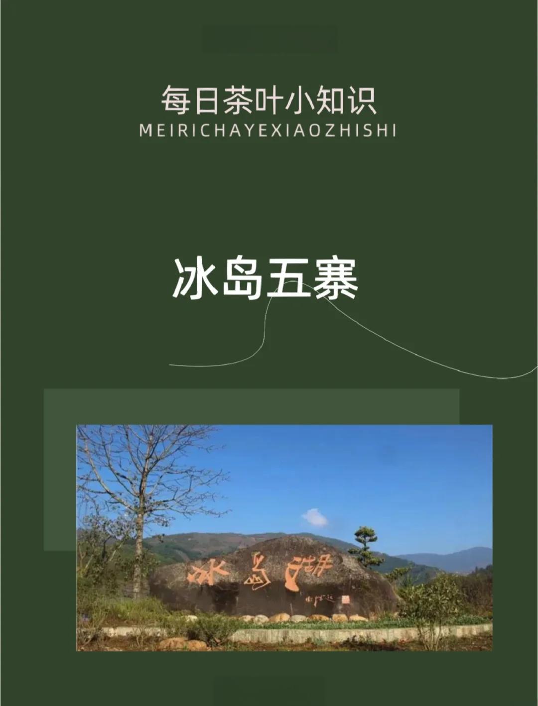 冰岛茶产地在哪里(云南冰岛茶产地在哪里)