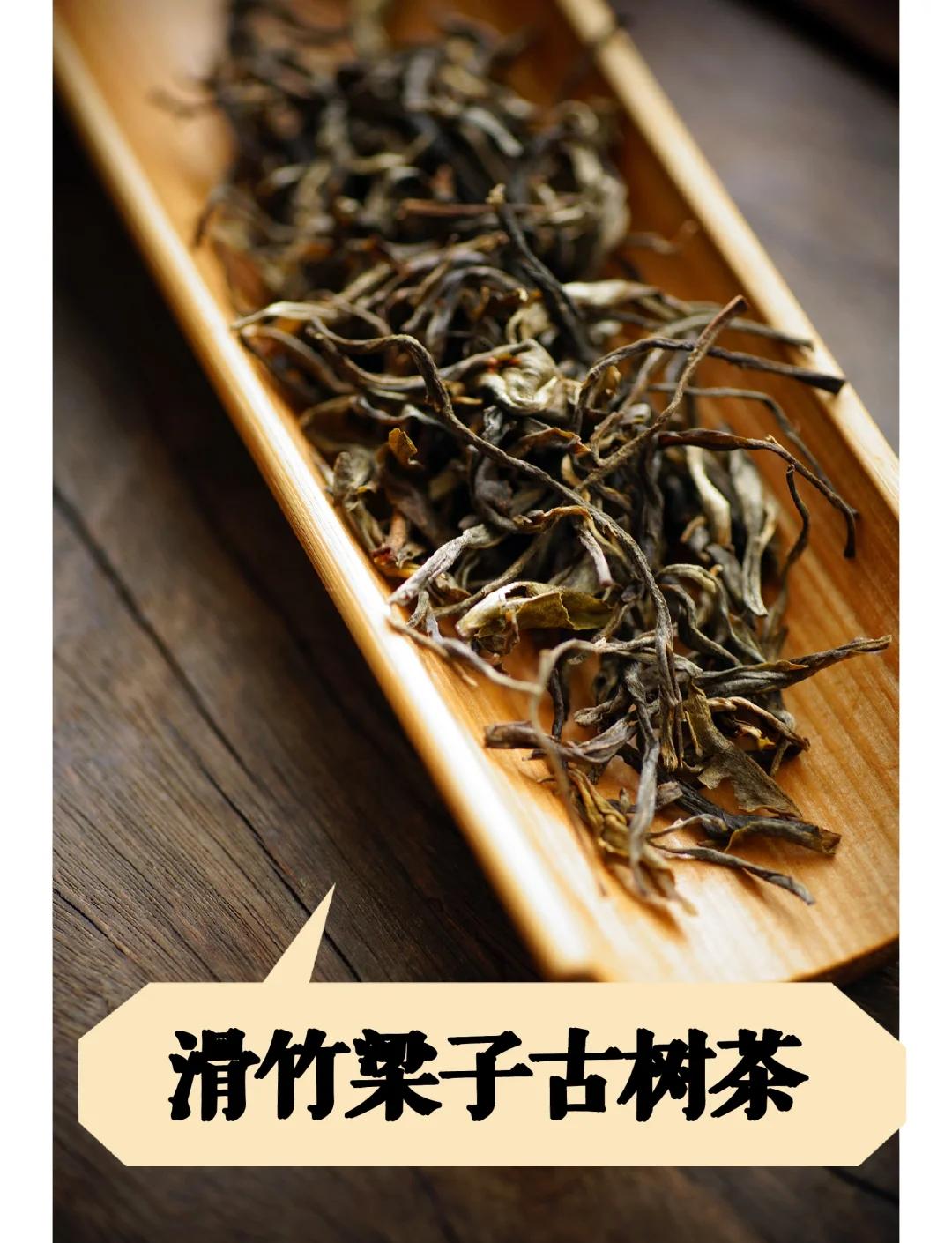 滑竹梁子古树茶口感特点(滑竹梁子古树茶特点百度百科)