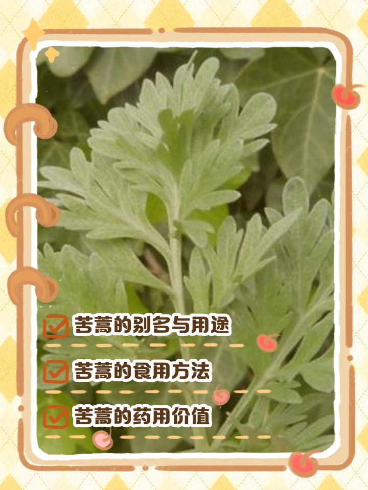 苦蒿图片(苦蒿图片及其功效) 苦蒿图片(苦蒿图片及其功效)