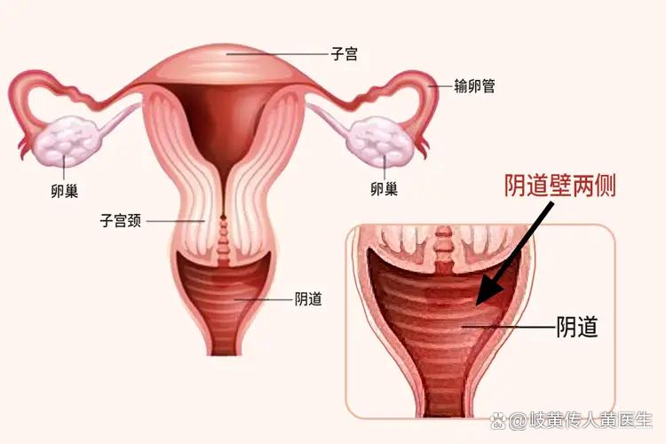 石女图(石女图片,石女是什么样子图片) 石女图(石女图片,石女是什么样子图片)