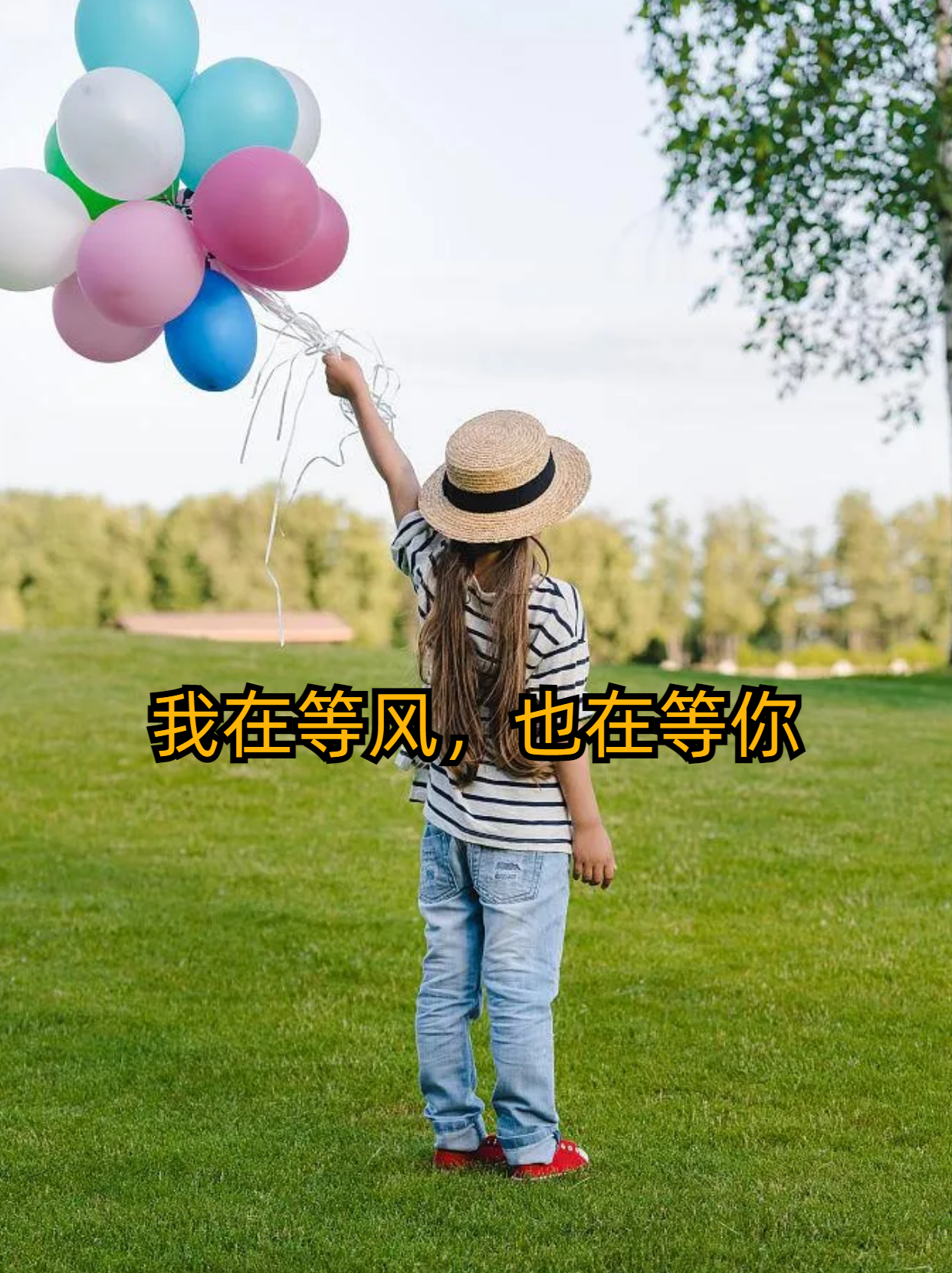 我在等风也等你前一句(我在等风也等你下句是什么) 我在等风也等你前一句(我在等风也等你下句是什么)