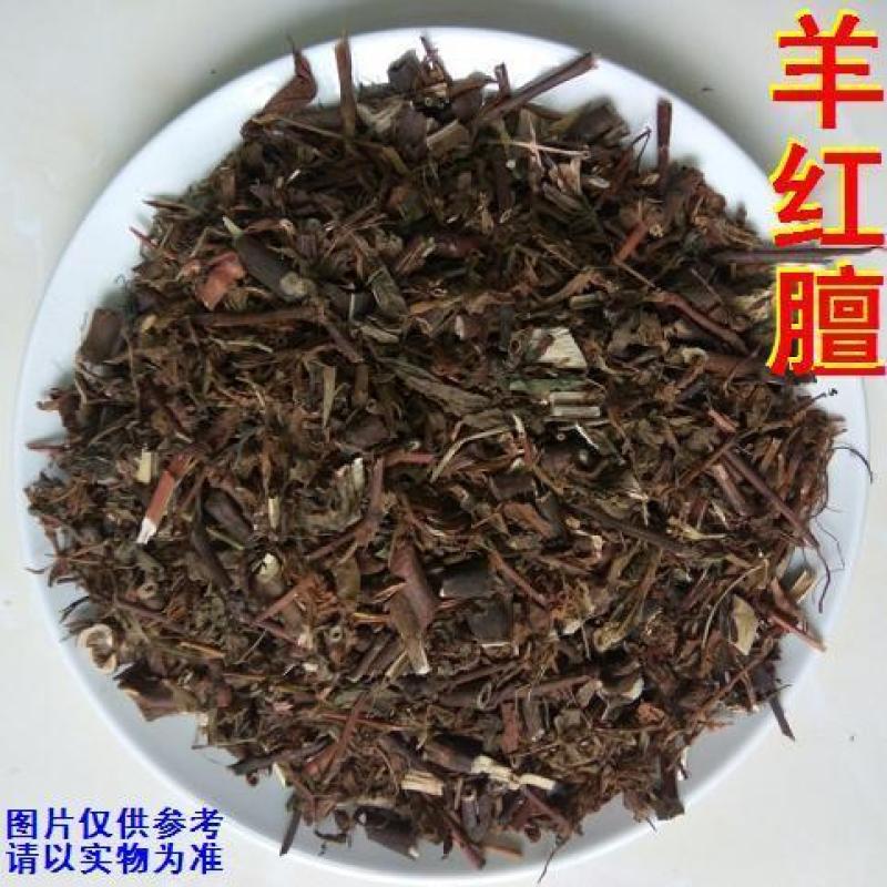 羊红膻(羊红膻全株图)